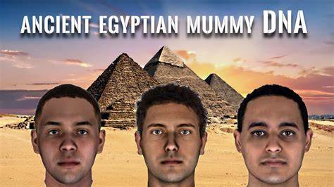 Whole-genome ancestry of an Old Kingdom Egyptian