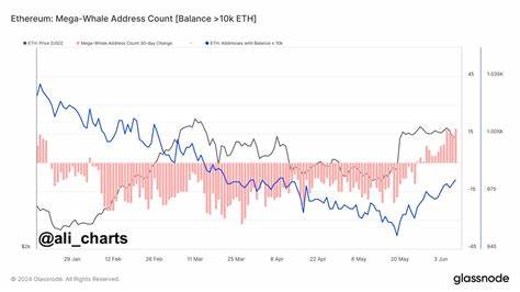 Ethereum Mega-Whale Addresses Surge In Three Weeks, 83% ETH Price Rally Likely - CoinGape