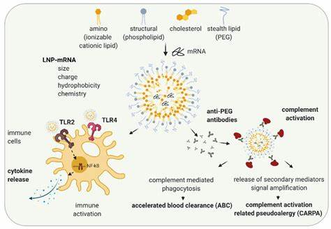 Target intestinal inflammation with locked nucleic acids via lipid nanoparticles