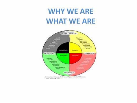 Why We Are What We Are