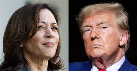 Election 2024: Harris goes on high-profile media blitz; Trump postpones town hall with RFK Jr