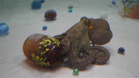 What happens when an octopus engages with art?