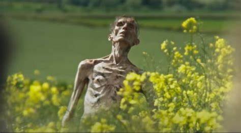 The Falling Man," 20 Years Later