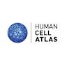 Human Cell Atlas