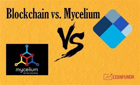 Best Bitcoin Wallet for 2014 – Blockchain Vs. MyCelium Vs. Coinabse - 99Bitcoins