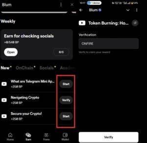 Blum Daily Video Codes – October 09, 2024 - Binance