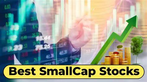 This Small-Cap Stock Could 10x by 2030, But It’s Not for the Faint of Heart
