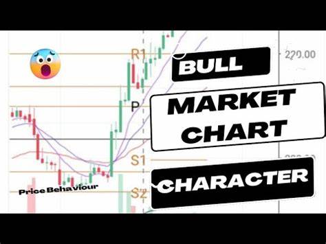 Where are we on the bull market chart? - Blockworks