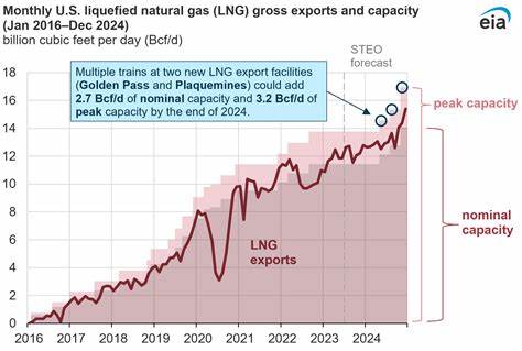 US LNG exports fall in June due to plant maintenance