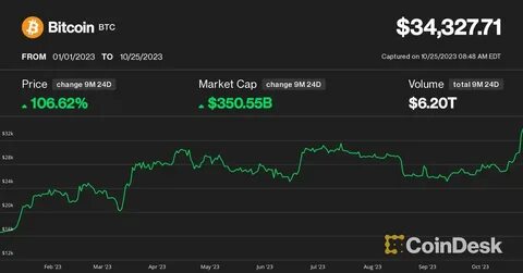 Spot Bitcoin ETF Hype Dies Down, Normalcy Sets In - CoinDesk