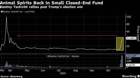 Elon Musk-Loving Day Traders Are Sweeping Speculative Markets - Bloomberg.com