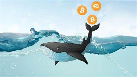 Whale investments mark a turning point for Bitcoin's future - Cryptopolitan