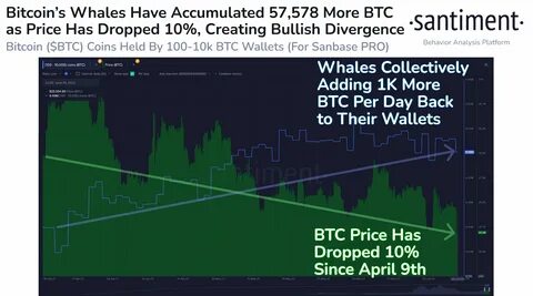 Bitcoin outlook brightens as whales accumulate and Binance stablecoin reserves surge - CryptoSlate