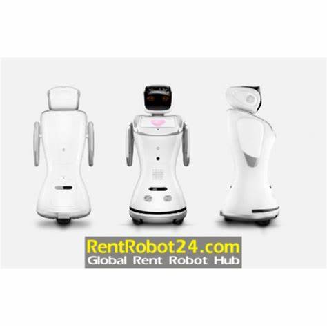 Show HN: Would You Rent a Robot for Your Home?