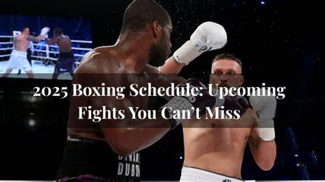 Upcoming Boxing Schedule 2025 - FightNights