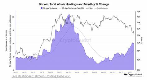 CryptoQuant: Bitcoin whales on accumulation spree - crypto.news