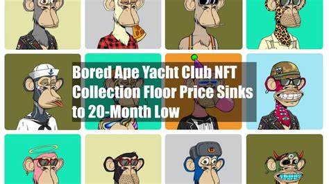 Bored Ape Yacht Club NFT Floor Price Sinks to 20-Month Low - CoinDesk