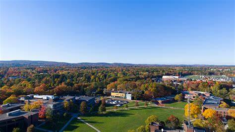 International - University of Hartford