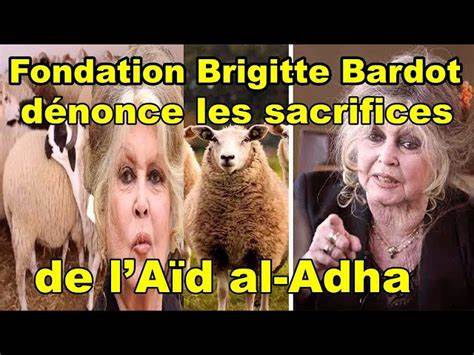 Comment demander de l'aide à la Fondation Brigitte Bardot