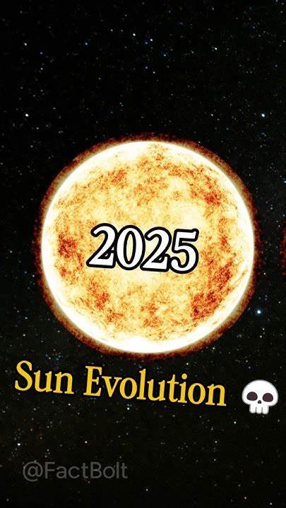 4.6B Years On, the Sun Is Having a Moment
