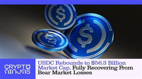 USDC hits $56.3B market cap, regains losses from bear market