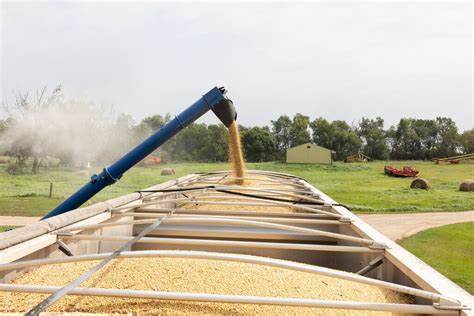 China's Snub of U.S. Soybeans Is a Crisis for American Farmers