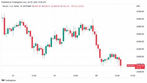 Bitcoin Drops Below Key 2025 Realized Price Level, Raising Risk of Further Downside: Van Straten