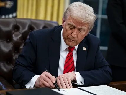Trump implements 25% tariffs on imported steel and aluminium - Dimsum Daily