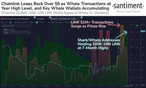 Web3Bay Raises $1.5M While Chainlink and Stellar Eye Price Breakouts—Which One Is the Better Investment? - CryptoDaily