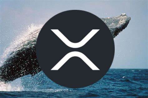 Crypto Whale Transfers 20M $XRP From Korean Exchange Upbit