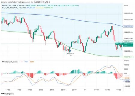 DeepSeek panic eases as crypto and stock markets reset focus - Cryptopolitan