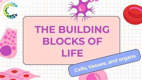 Building blocks of life may be far more common in space than we thought