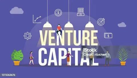 Venture capital (VC)