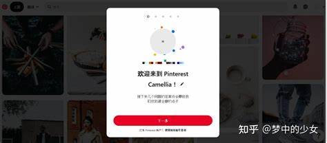 Pinterest中的视频如何下载？ - 知乎