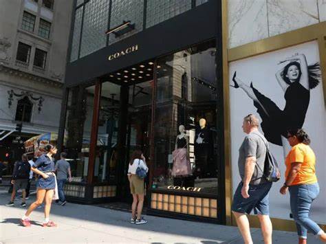 Tapestry ups Gen Phoenix stake to boost sustainable leather supply