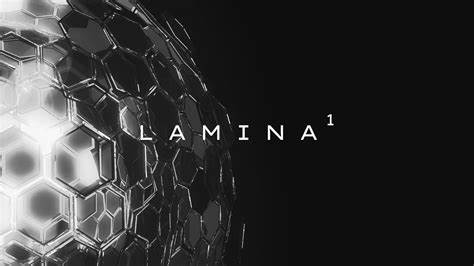 Lamina1 Launches Layer 1 Ecosystem Rolling Fund (L1EF) on AngelList for Investors and Open Metaverse Builders - Business Wire