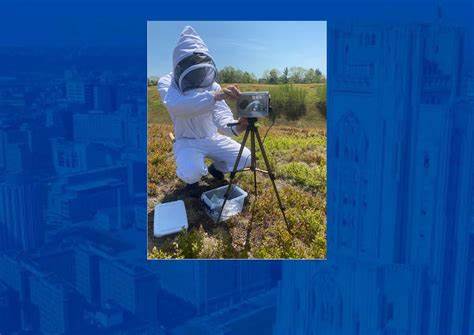 Warmer spots within fields have more blooms and more bees, researchers discover