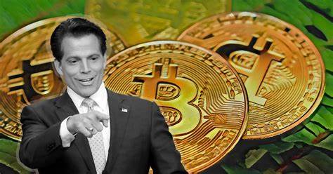 Anthony Scaramucci says Bitcoin is "as safe as bonds and gold" after $310m bet - CryptoSlate