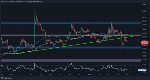 Is Ripple (XRP) About To Start A Bull Run? - DisruptionBanking