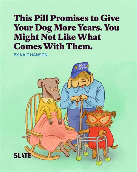 Pill Promises to Give Your Dog More Years
