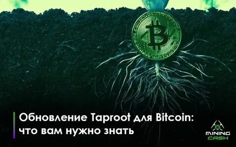 Bitcoin-Based NFT Collection Taproot Wizards Reveals Public Sale - Cryptonews