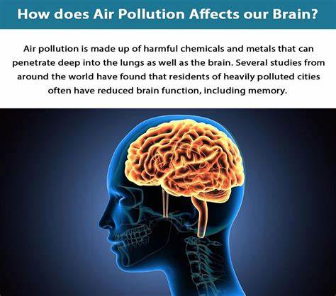 How does air pollution impact your brain?