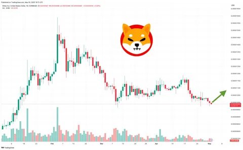 Shiba Inu and PEPE’s Volcanic Rise Leads Smart Chinese Whales to Rotate Investments Into DTX Exchange’s 4147% Potential Surge - Times Tabloid