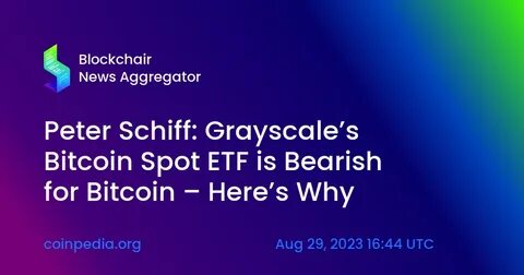 ‘Are any Bitcoin HODLers concerned?’ quizzes Peter Schiff – Here’s why - AMBCrypto News
