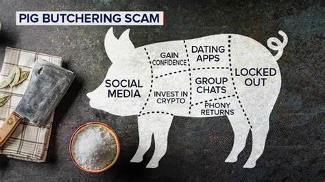 Hello, Is This Anna?": Unpacking the Lifecycle of Pig-Butchering Scams