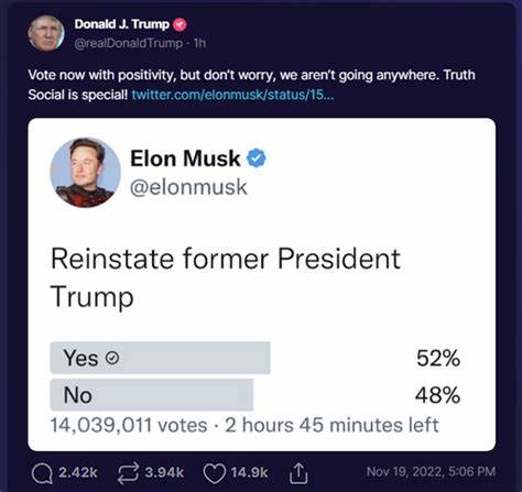 Poll: Most Americans believe Musk, Trump are scamming them - NJ.com