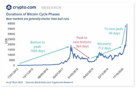 Crypto Market Cycles: Identifying Bull and Bear Markets