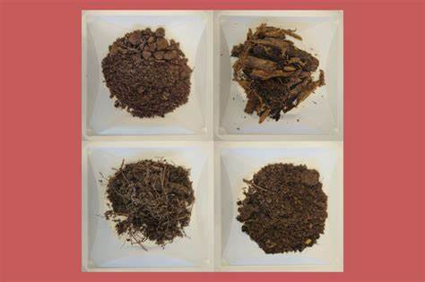 New bacteria, and two potential antibiotics, discovered in soil