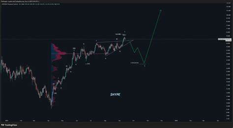 HYPE Price Prediction: Native Markets Wins USDH Stablecoin Battle as Crypto Hayes Calls for $5K Target