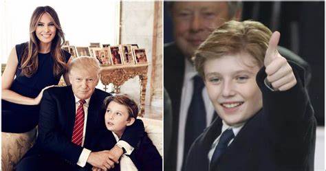 Does Barron Trump really have 4 crypto wallets? Why it matters - MSN